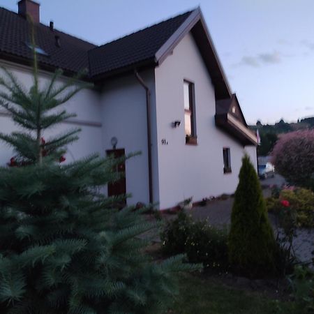 Agroturystyka "U Kasi" Scinawka Gorna Exterior foto