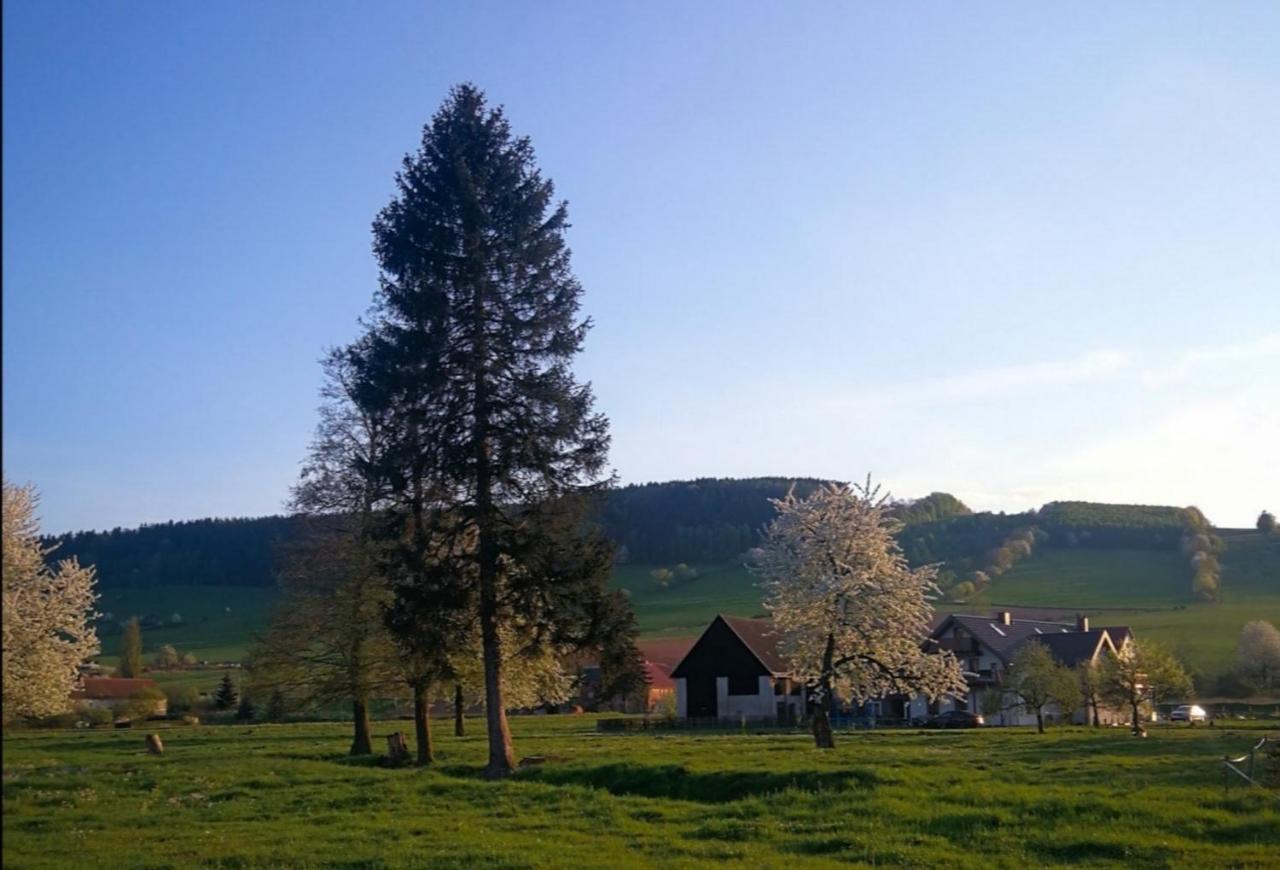 Agroturystyka "U Kasi" Scinawka Gorna Exterior foto