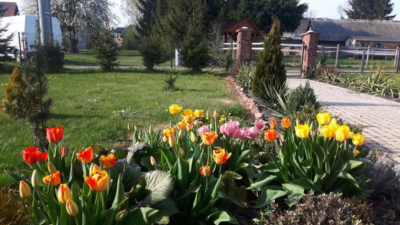 Agroturystyka "U Kasi" Scinawka Gorna Exterior foto
