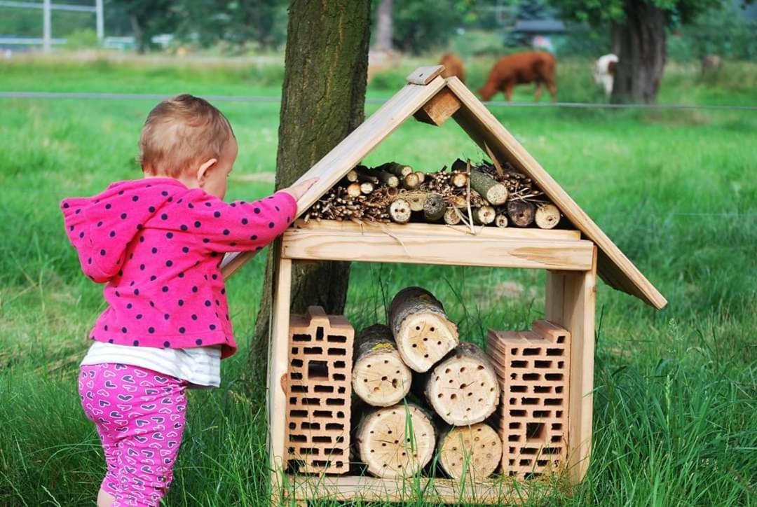 Agroturystyka "U Kasi" Scinawka Gorna Exterior foto