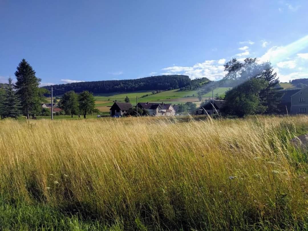 Agroturystyka "U Kasi" Scinawka Gorna Exterior foto