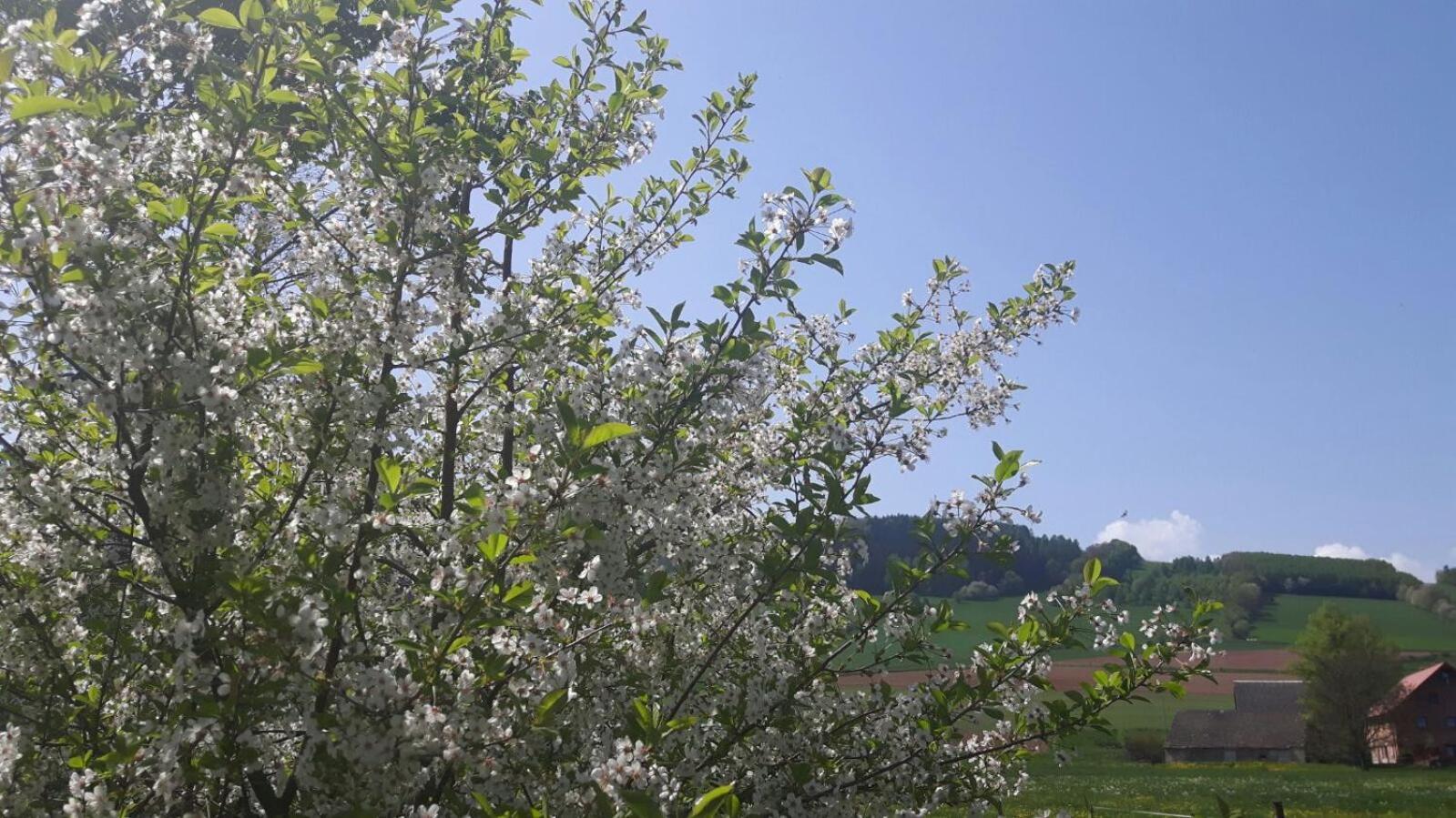Agroturystyka "U Kasi" Scinawka Gorna Exterior foto