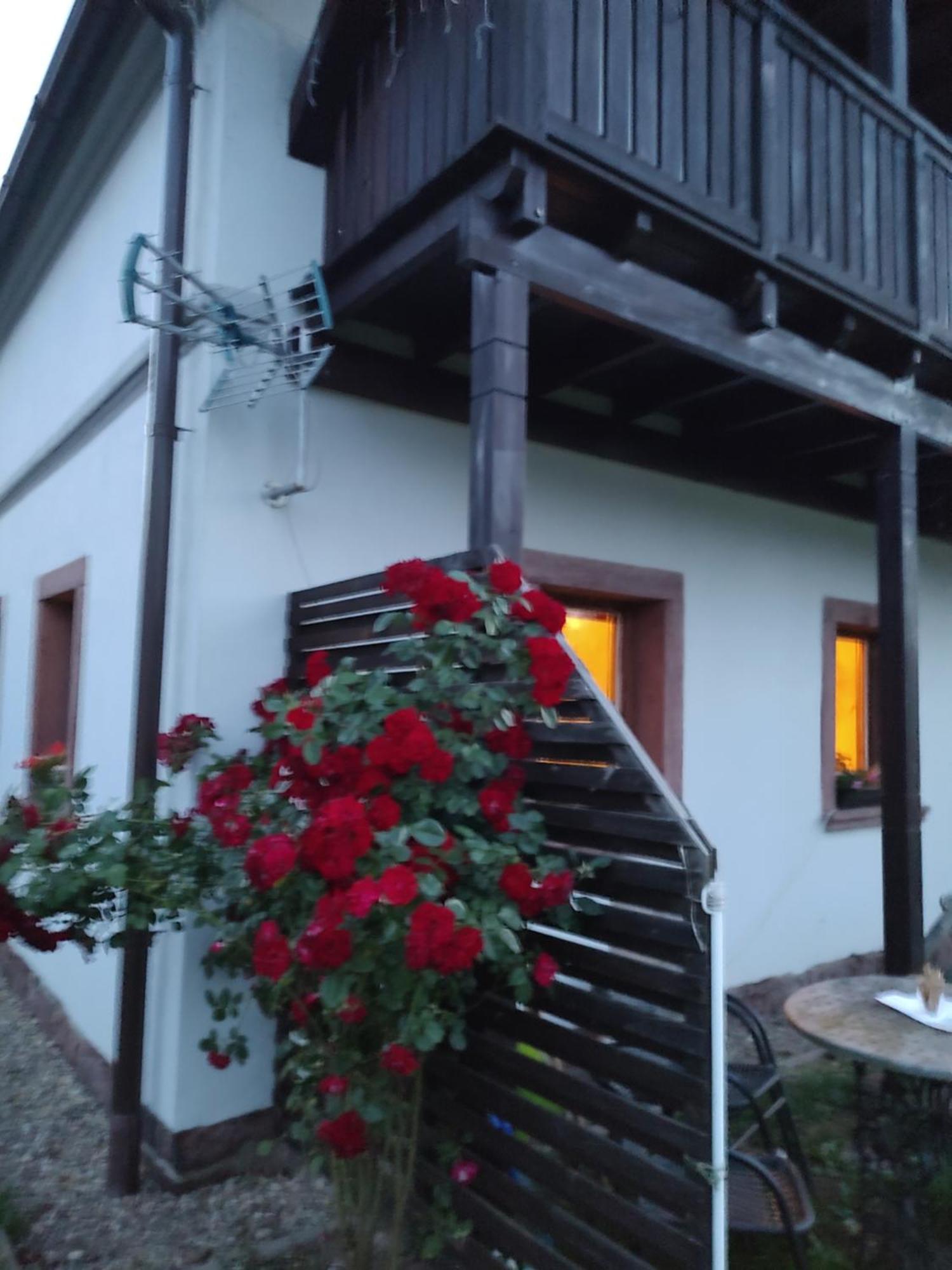 Agroturystyka "U Kasi" Scinawka Gorna Exterior foto