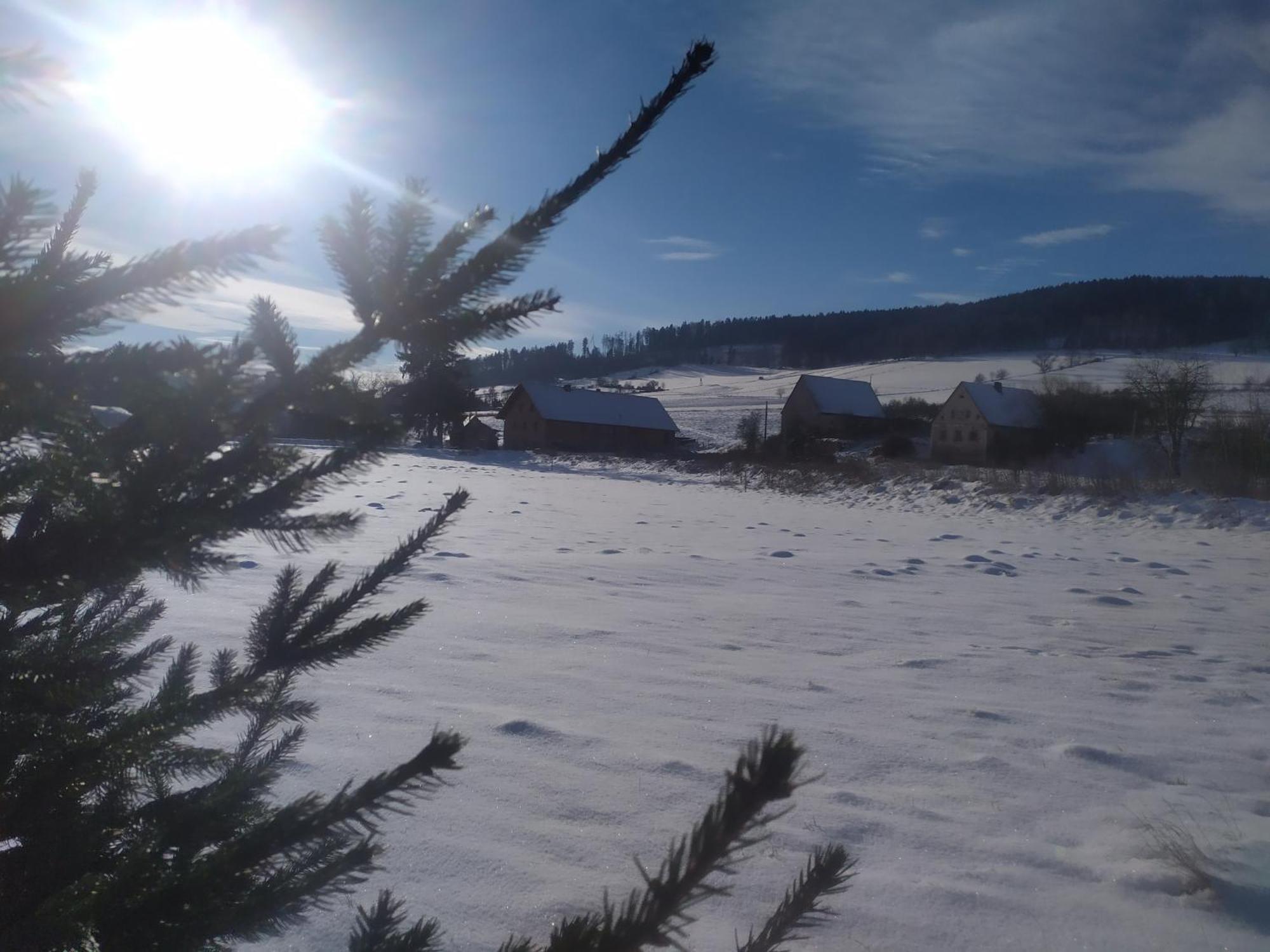 Agroturystyka "U Kasi" Scinawka Gorna Exterior foto