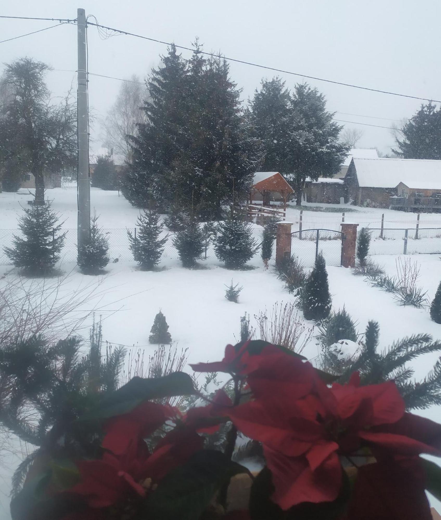 Agroturystyka "U Kasi" Scinawka Gorna Exterior foto