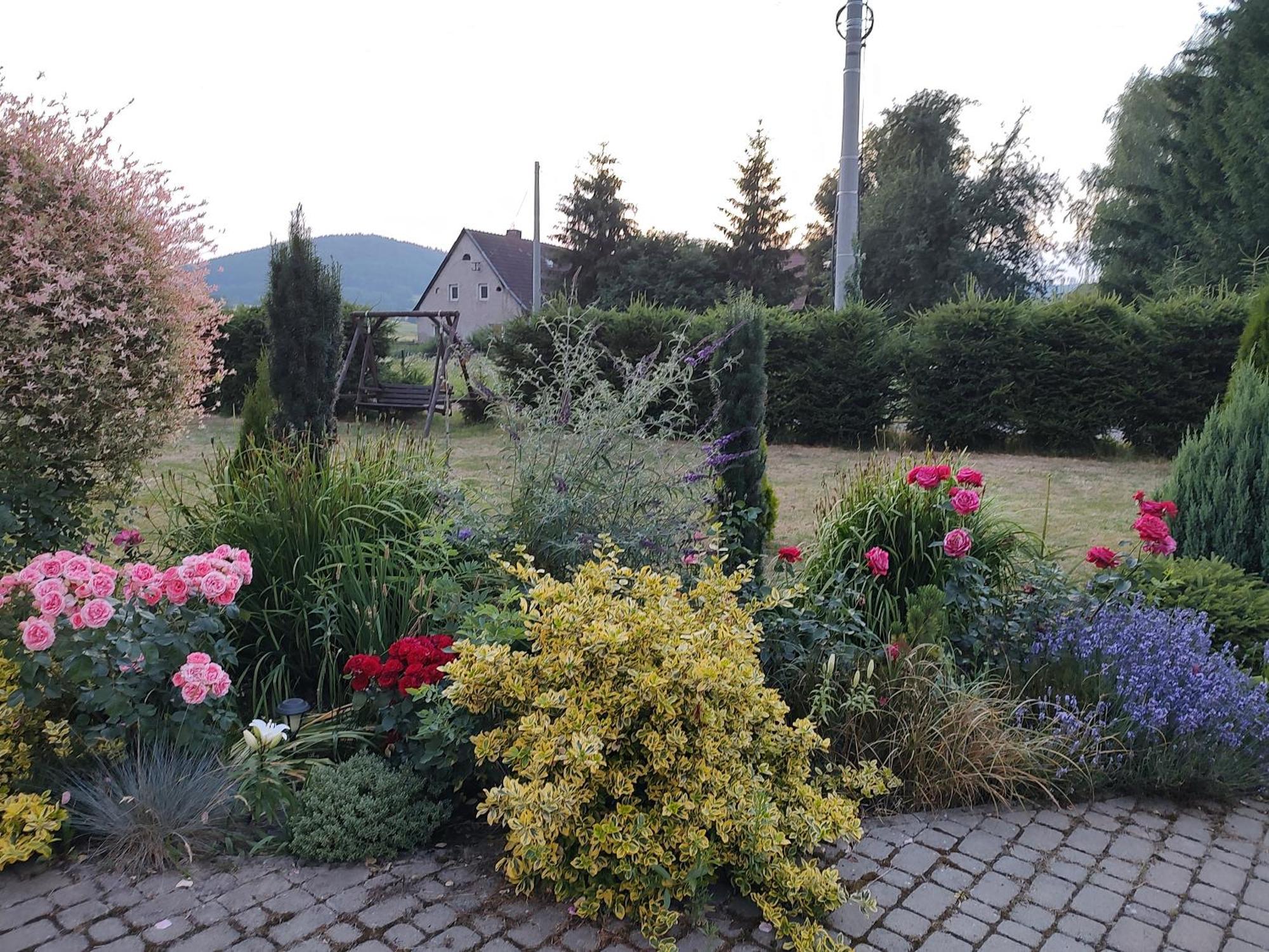 Agroturystyka "U Kasi" Scinawka Gorna Exterior foto
