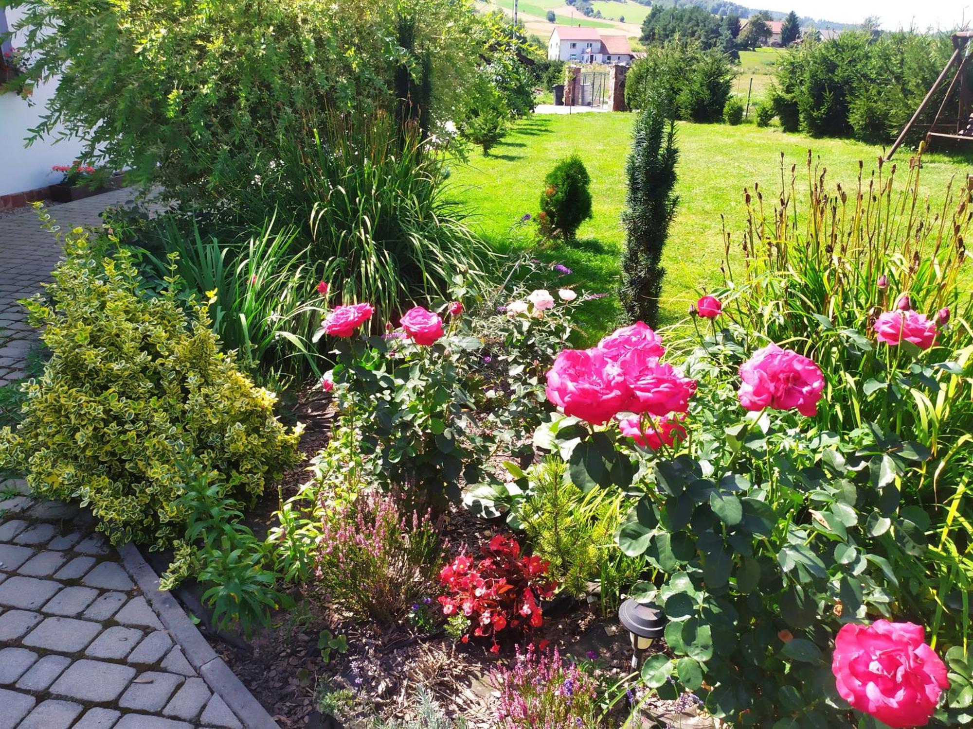 Agroturystyka "U Kasi" Scinawka Gorna Exterior foto